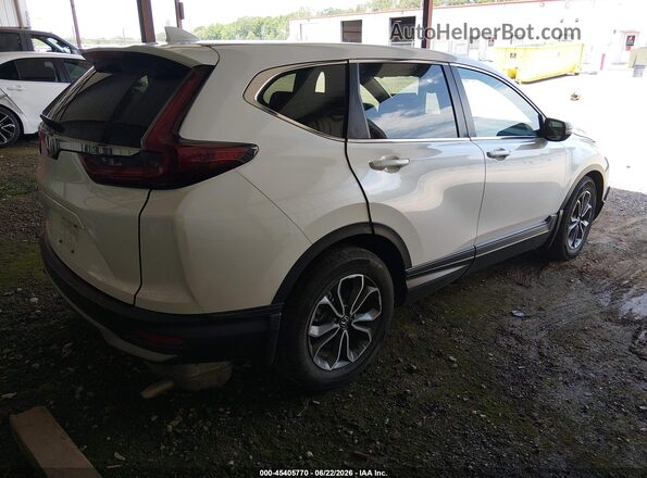 5J6RW1H80NA016393 2022 HONDA CR-V White უკანა მარჯვენა