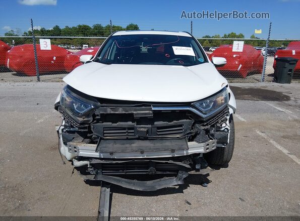 5J6RW1H83LL012601 2020 HONDA CR-V White Widok wnętrza z tyłu