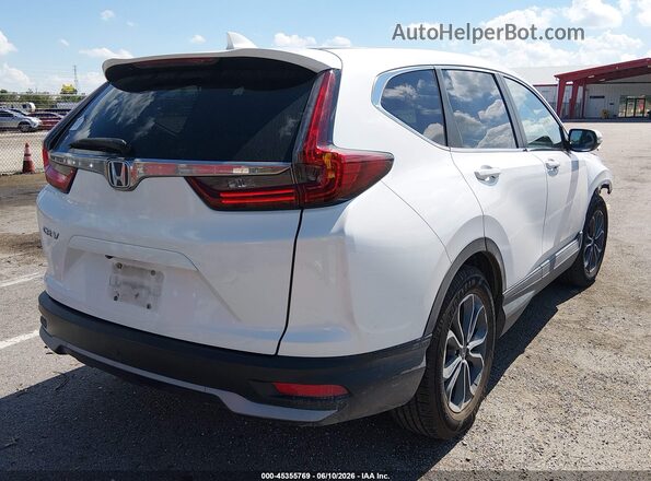 5J6RW1H83LL012601 2020 HONDA CR-V White Tył prawy