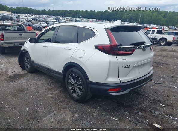 5J6RW1H87LL001875 2020 HONDA CR-V White Հետևի ձախ