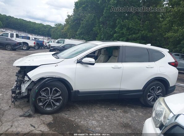 5J6RW1H87LL001875 2020 HONDA CR-V White Սալոնի 360 աստիճան տեսք