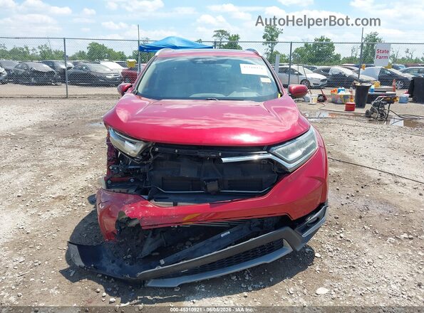 5J6RW1H98HL016594 2017 HONDA CR-V Red Սալոնի հետևի տեսք