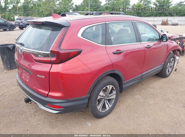 5J6RW2H20LL016333 2020 HONDA CR-V Red უკანა მარჯვენა