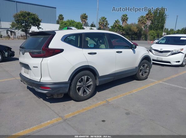 5J6RW2H2XLA012205 2020 HONDA CR-V White Tył prawy