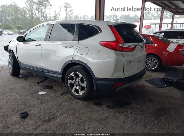 5J6RW2H53KL021860 2019 HONDA CR-V White Հետևի ձախ