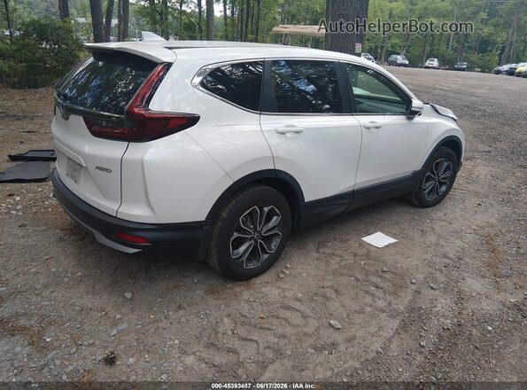 5J6RW2H59NL003576 2022 HONDA CR-V White უკანა მარჯვენა