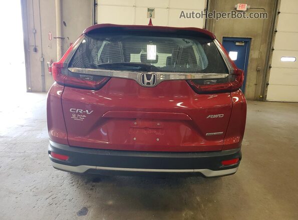 5J6RW2H74ML026246 2021 HONDA CR-V Red უკანა ხედი