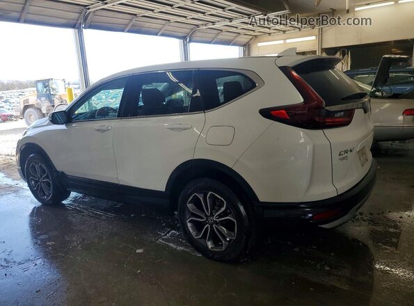5J6RW2H80LL004686 2020 HONDA CR-V White 