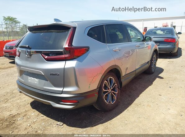 5J6RW2H80LL010407 2020 HONDA CR-V Gray Rear right