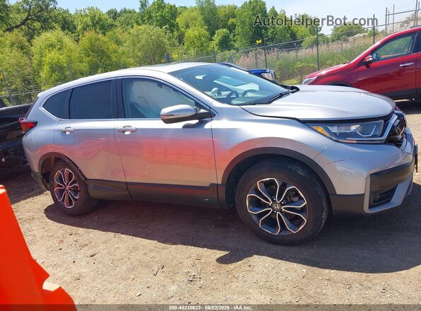 5J6RW2H80LL010407 2020 HONDA CR-V Gray Rear interior view