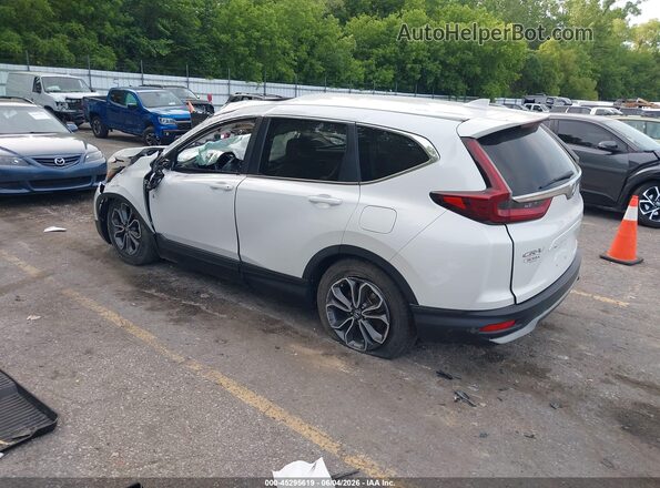 5J6RW2H80LL043763 2020 HONDA CR-V White Tył lewy