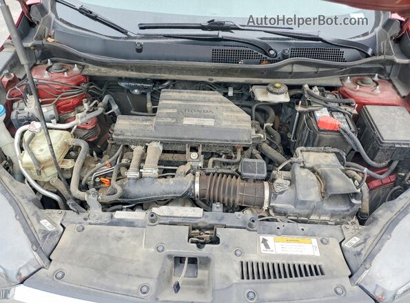 5J6RW2H82KL002467 2019 HONDA CR-V Красный Вид задней части салона