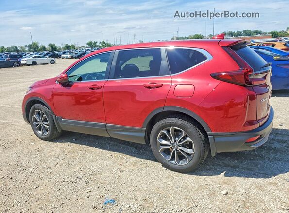 5J6RW2H82LL015107 2020 HONDA CR-V Red Задня ліва чверть