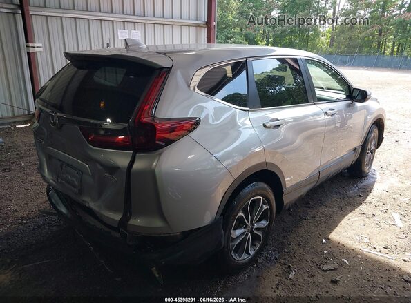 5J6RW2H84LL018039 2020 HONDA CR-V Gray Հետևի աջ
