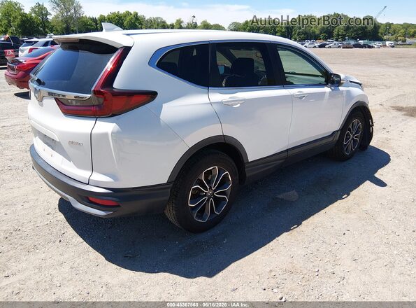 5J6RW2H87LA020508 2020 HONDA CR-V Белый Задняя правая четверть