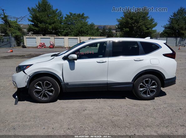 5J6RW2H87LA020508 2020 HONDA CR-V Белый Панорамный вид салона 360°