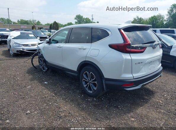 5J6RW2H88LL033479 2020 HONDA CR-V White Tył lewy