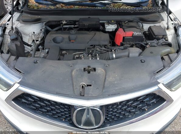 5J8TC2H52KL031379 2019 ACURA RDX White Հետևի տեսք