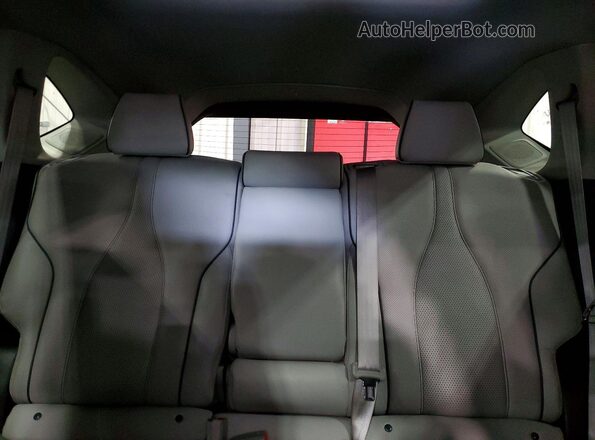 5J8TC2H7XKL010474 2019 ACURA RDX Blue Rear seats view