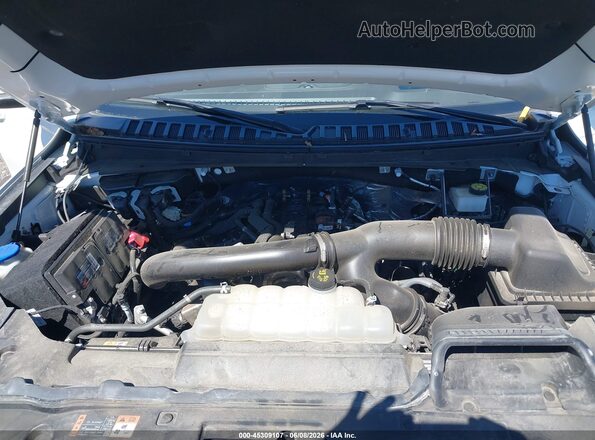 5LMJJ3LG7REL18069 2024 LINCOLN NAVIGATOR Белый Вид сзади