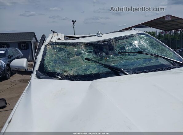 5LMJJ3LT8MEL18295 2021 LINCOLN NAVIGATOR Белый 