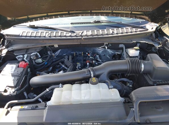 5LMJJ3TT2NEL01557 2022 LINCOLN NAVIGATOR Зеленый Вид сзади