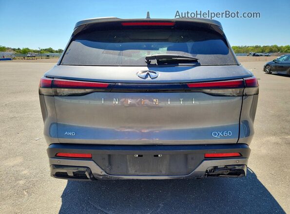 5N1AL1FS8SC337071 2025 INFINITI QX60 Серый Вид сзади