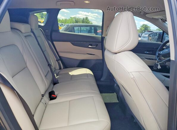 5N1AZ3BS4SC141113 2025 NISSAN MURANO Черный 