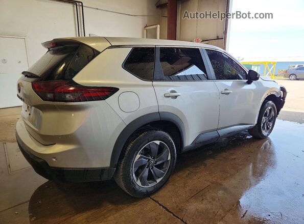5N1BT3BA3SC807617 2025 NISSAN ROGUE Silver 