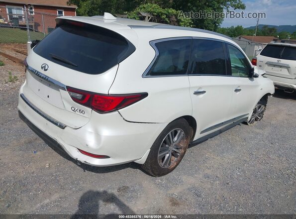 5N1DL0MN6LC521060 2020 INFINITI QX60 White Tył prawy