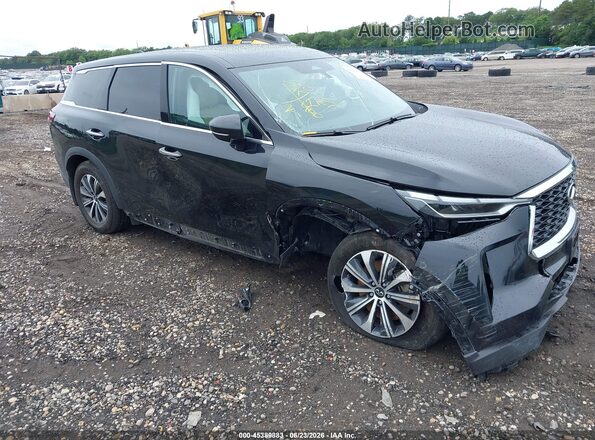 5N1DL1ES3RC353686 2024 INFINITI QX60 Black Widok z przodu