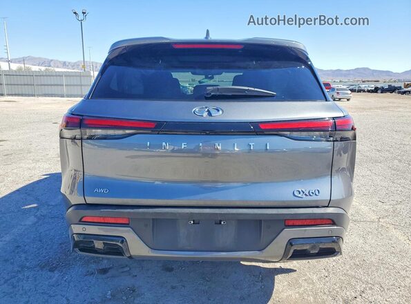 5N1DL1ES8RC336334 2024 INFINITI QX60 Серый Вид сзади
