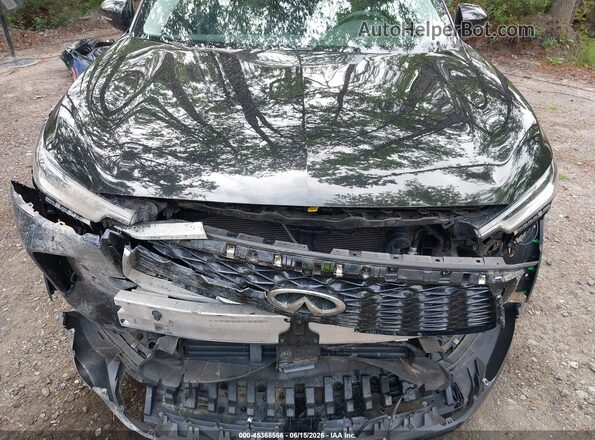 5N1DL1FS0RC332065 2024 INFINITI QX60 Black Front view