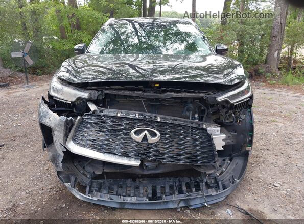 5N1DL1FS0RC332065 2024 INFINITI QX60 Black Rear interior view