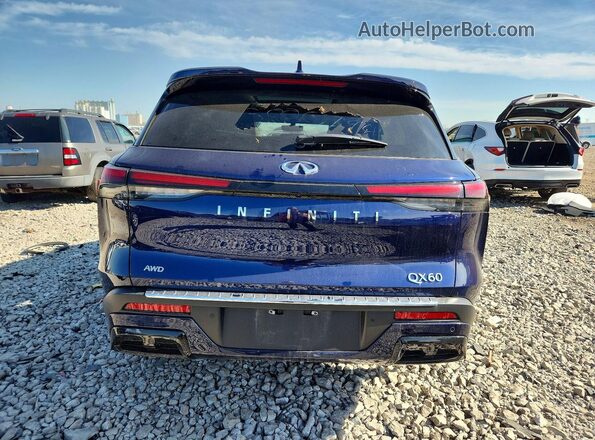 5N1DL1FS3PC349360 2023 INFINITI QX60 Синий Вид сзади