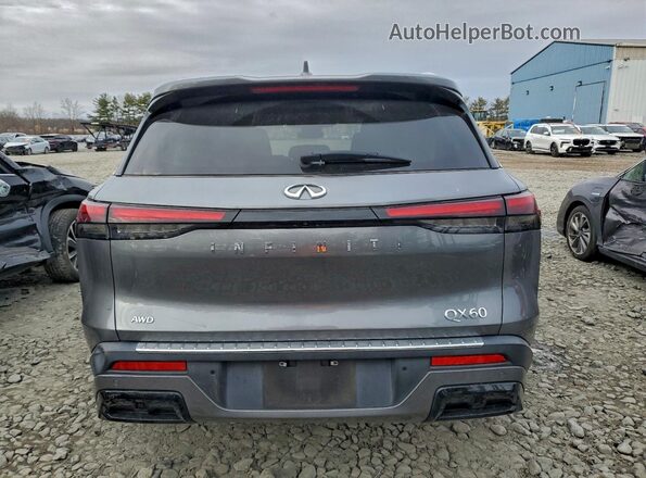 5N1DL1FS8PC353193 2023 INFINITI QX60 Серый Вид сзади