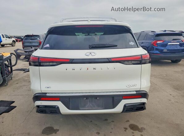 5N1DL1FS9PC360458 2023 INFINITI QX60 White Вид ззаду