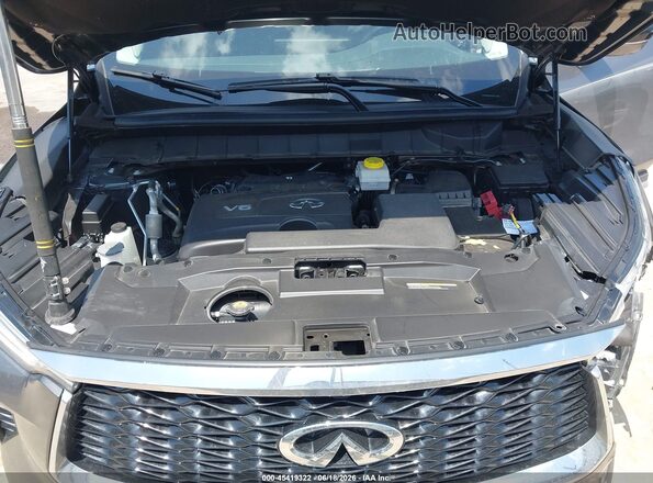 5N1DL1GS9PC376545 2023 INFINITI QX60 Gray Rear view