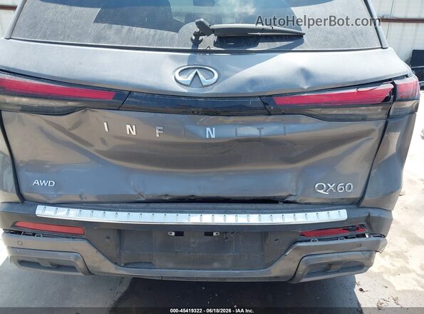 5N1DL1GS9PC376545 2023 INFINITI QX60 Gray 
