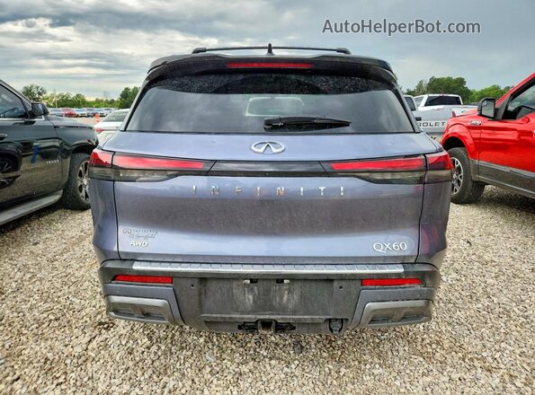 5N1DL1HU0RC352170 2024 INFINITI QX60 Blue Вид ззаду