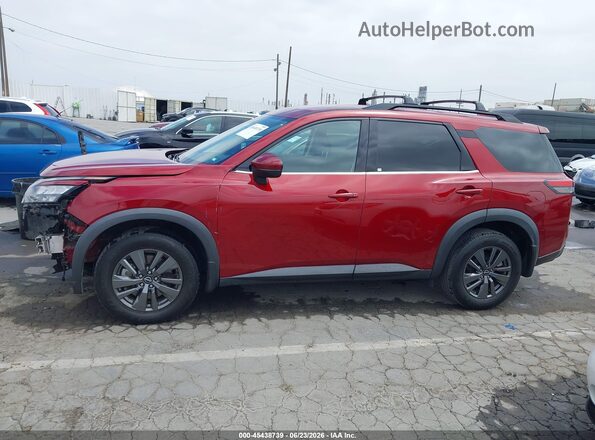 5N1DR3BA5PC207700 2023 NISSAN PATHFINDER Red Սալոնի 360 աստիճան տեսք