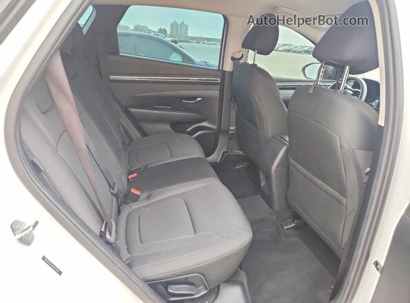 5NMJA3DE4RH323019 2024 HYUNDAI TUCSON White უკანა სალონის ხედი