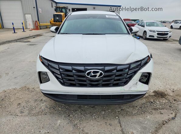 5NMJA3DE4RH323019 2024 HYUNDAI TUCSON White წინა ხედი