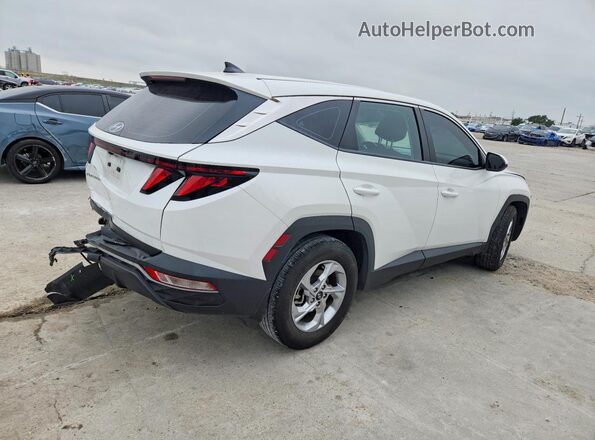 5NMJA3DE4RH323019 2024 HYUNDAI TUCSON White უკანა მარჯვენა