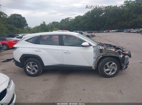 5NMJA3DE4RH439935 2024 HYUNDAI TUCSON Белый Панорамный вид салона 360°