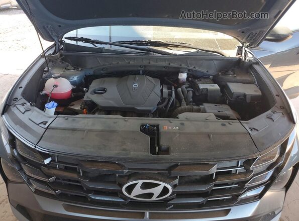 5NMJA3DEXSH545540 2025 HYUNDAI TUCSON Серый Вид задней части салона