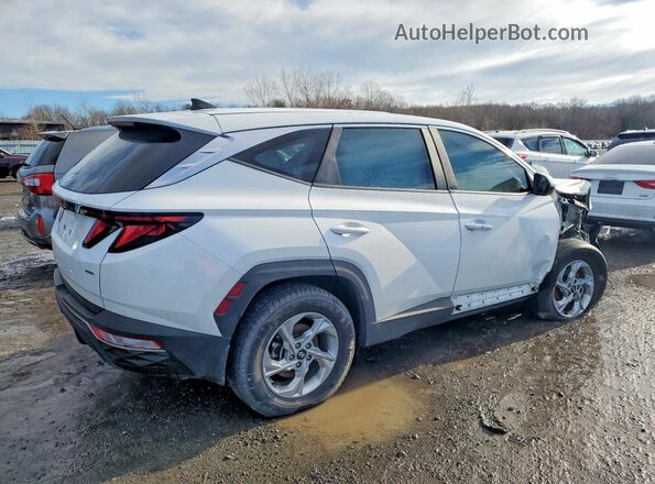 5NMJACAE4PH239588 2023 HYUNDAI TUCSON Белый 