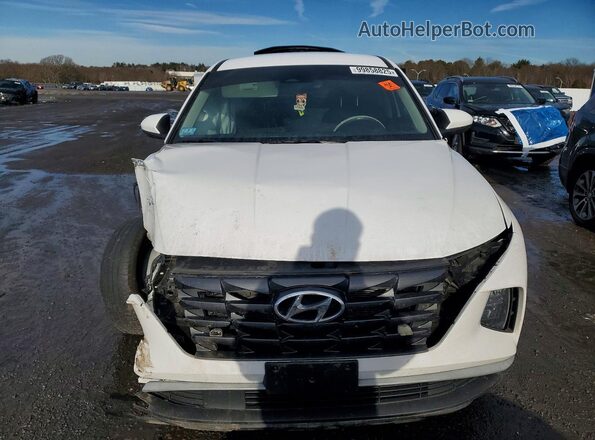 5NMJACAE4PH239588 2023 HYUNDAI TUCSON Белый 