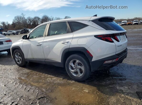 5NMJACAE4PH239588 2023 HYUNDAI TUCSON Белый 