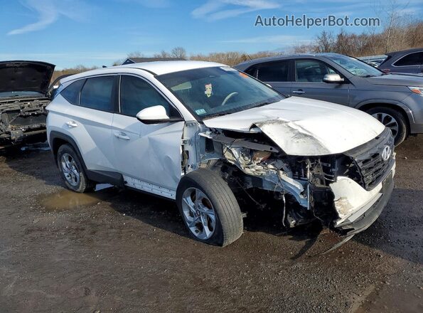 5NMJACAE4PH239588 2023 HYUNDAI TUCSON Белый 